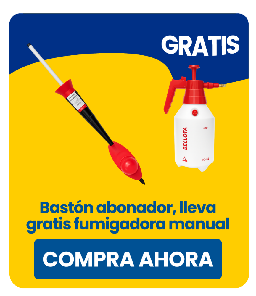 Sanitario Infantil