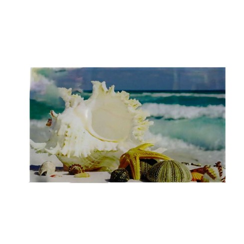 Cenefa 25X40 Cm Caracol Del Mar