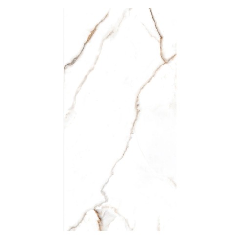 Porcelanato Marble Gold Pulido Special 60X120 C2.16 Euro